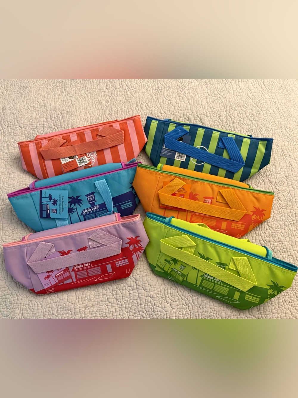 Trader Joe’s Mini Insulated Bag Lunch Bag shopping Bag Beach Bag Freezer Bag